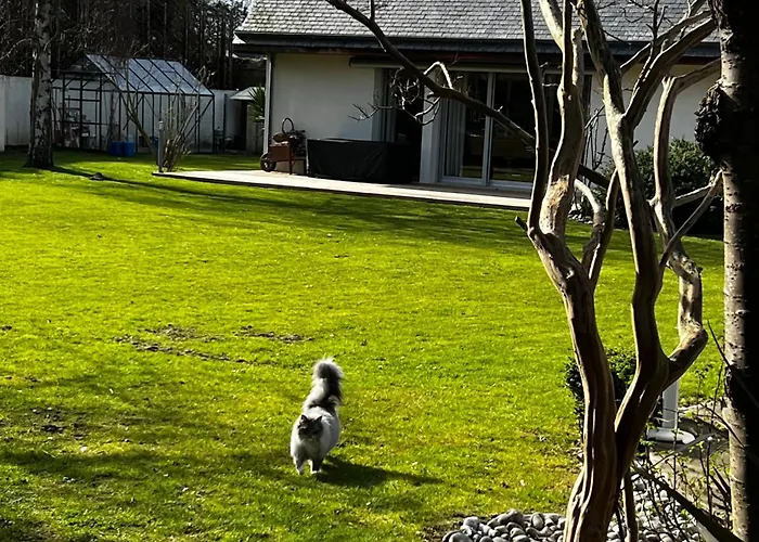 Bed and breakfast D'hôtes Dans Magnifique Propriété